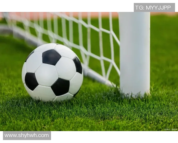 足球的基本构成要素与其在比赛中的重要作用分析